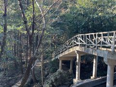 -夏霖九天银瀑风景区
