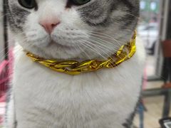 -百金通黄金回收首饰定制维修(珠江路总部)