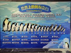 -珠海长隆海洋王国