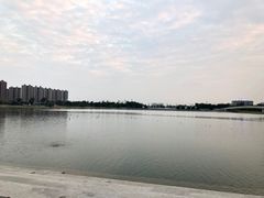 -映月湖中央公园