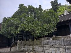 -阳明祠