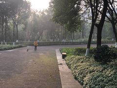 -重庆彩云湖湿地公园