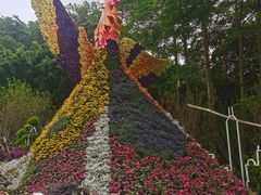 -深圳仙湖植物园