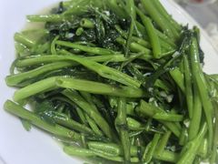 -小海丁