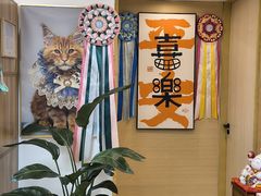 -猫十亿·布偶金渐层·曼基康矮脚猫舍(青年路店)