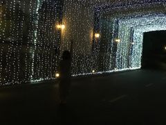 -浙江安吉JW万豪酒店·万豪中餐厅