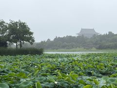 -阳澄湖半岛旅游度假区