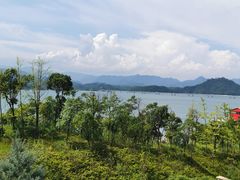 -千岛湖忆湖度假酒店(中心湖景区店)