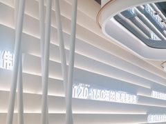 -洪氏嗨捞·广东猪肚鸡·椰子鸡火锅(西咸万象城店)