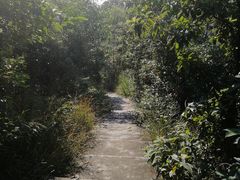 -滴水岩森林公园