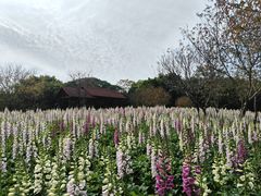 -厦门园林博览苑