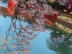 -红星桥(地铁站)