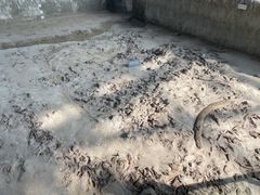 -金沙遗址博物馆