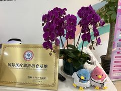 -美华丁香门诊部·全科·妇儿·口眼