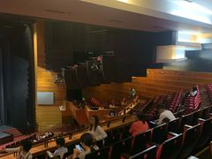 -顺德演艺中心大剧院