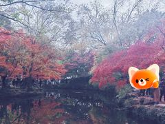 -秋霞圃