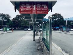 -都江堰中华大熊猫苑