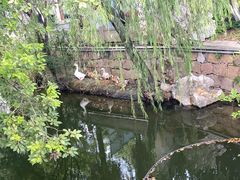 -丝绸小镇荻港古村