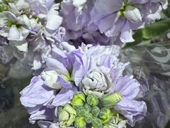 -循礼门鲜花花市(武汉循礼门店)