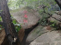 -六里坪国家森林公园