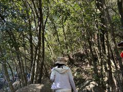 -黄山翡翠谷景区