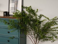 -圣·阿列克谢耶夫教堂