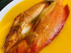 -甄御•海鲜新青岛菜(麦岛店)