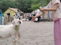 -西部长青自然儿童乐园