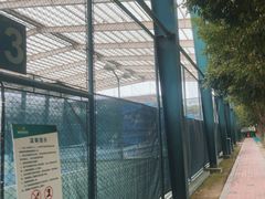 -成都高新创新角度网球俱乐部