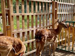 -水上乐园·欢乐世界