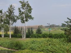 -哈尔滨音乐公园