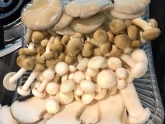 -东椰·海南椰子鸡火锅(朝阳门店)