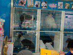 -萌兽医馆·宠物医院·猫骨科(创景店)