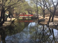 -辛玛王国游乐园