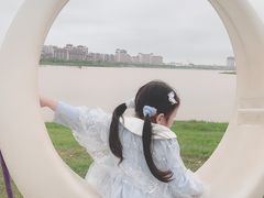 -九龙湖公园