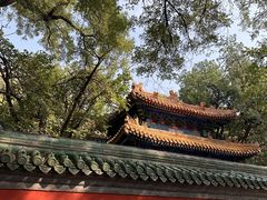 -北京国子监胡同