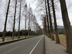 -青城山