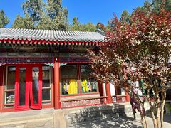 -宫事颐庭·老佛爷贵寿下午茶(颐和园店)