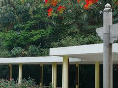 -人民公园(罗湖区)