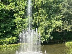 -上海共青森林公园