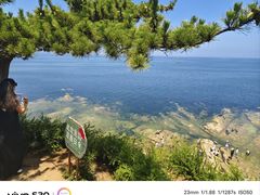 -养马岛旅游度假区