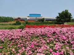 -君乐宝优致牧场