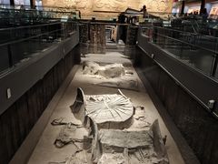 -北京大葆台遗址博物馆