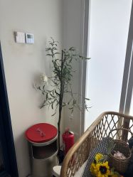 -爱儿美儿童摄影(朝阳公园店)