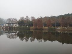 -海兰云天度假区温泉
