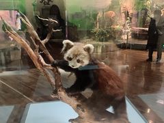 -陕西自然博物馆