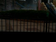 -世界恐龙谷景区