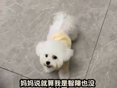 -帕帕拉兹宠物(亚洲旗舰店)