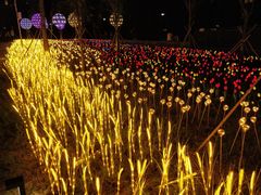 -怡海公园(桂城街道)