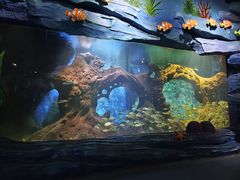 -西安曲江海洋极地公园